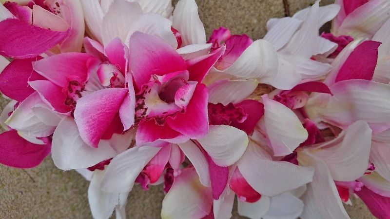 GROTE ORCHIDEE KRANS