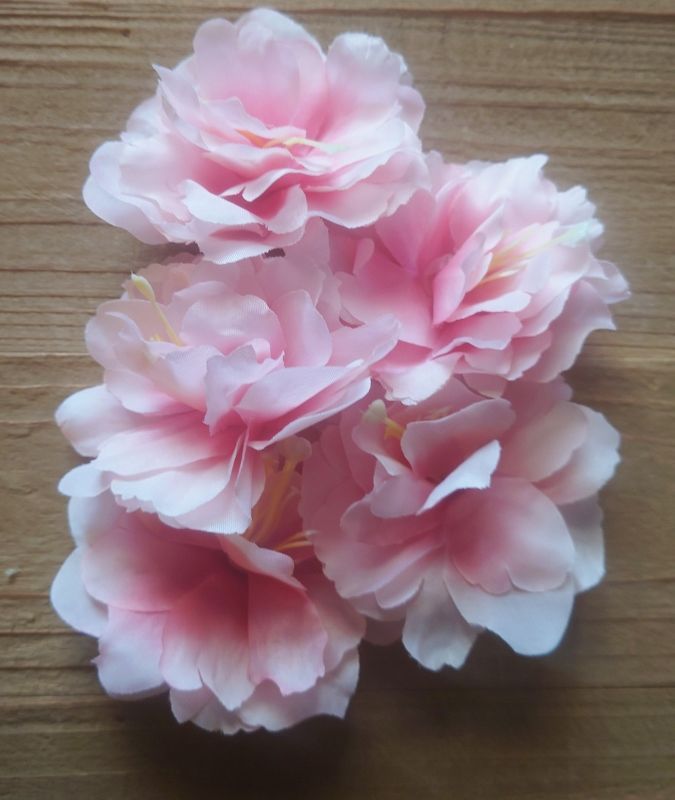 BLOEM KOP PIOENROOSJES - KUNST - ROZE