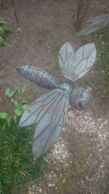 INSECT OP STEKER