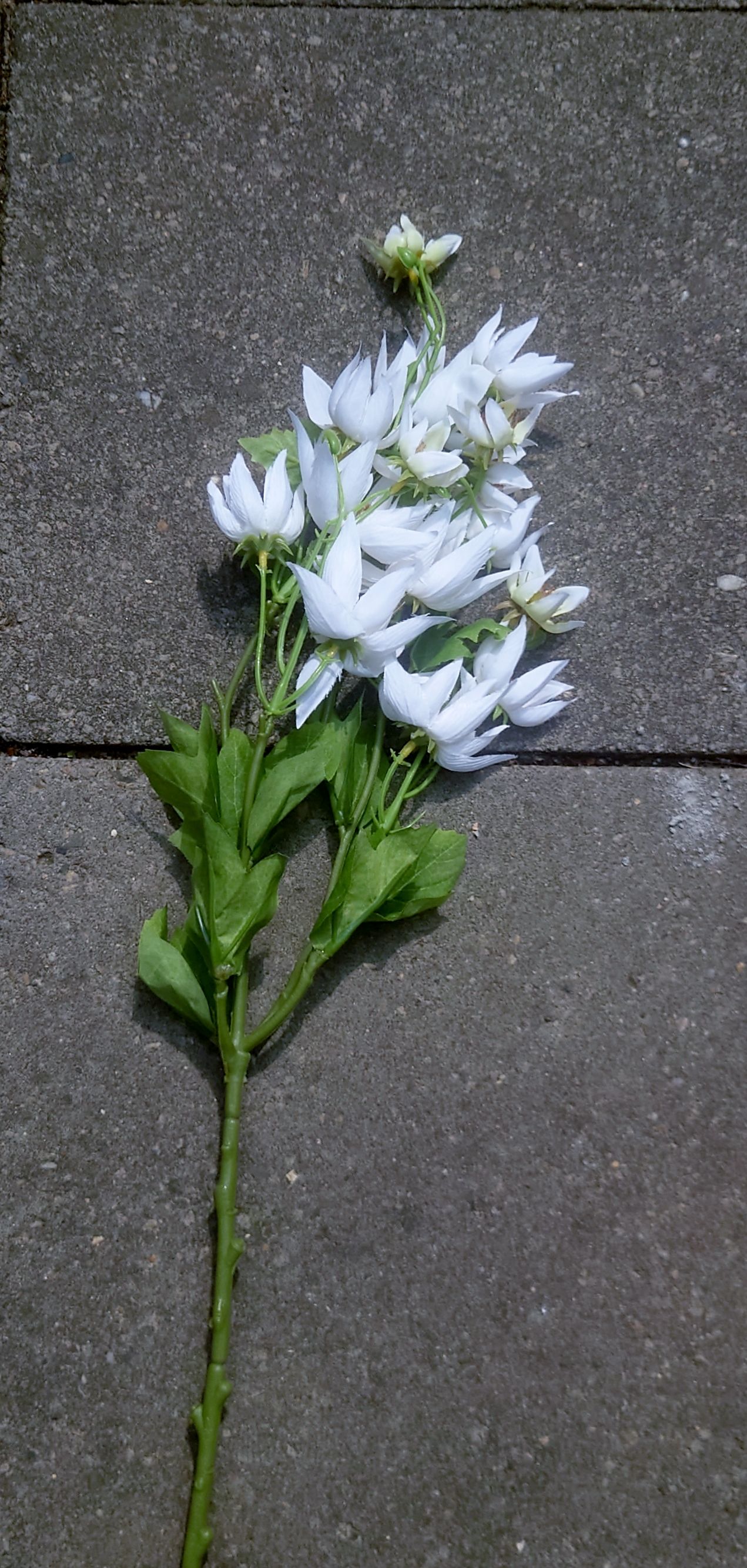 BLOEMETJES TAK KUNST - WIT