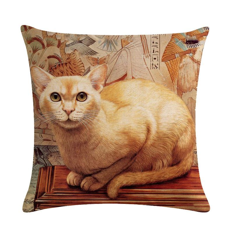 KUSSENHOES - POES (3)