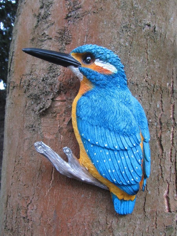 IJSVOGEL  (L) THE BEAUTY