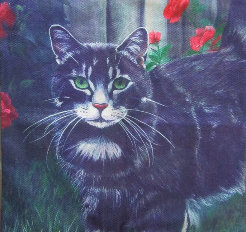 KUSSENHOES - POES