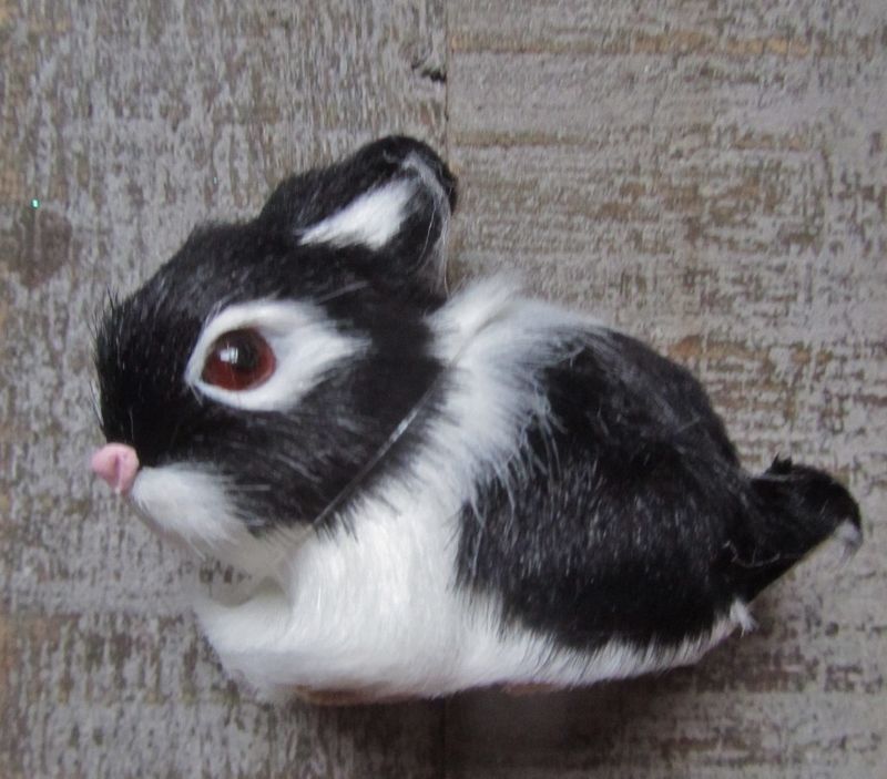 SCHATTIGE KONIJNTJES - MET EEN ZACHT NEP VELLETJE (1)