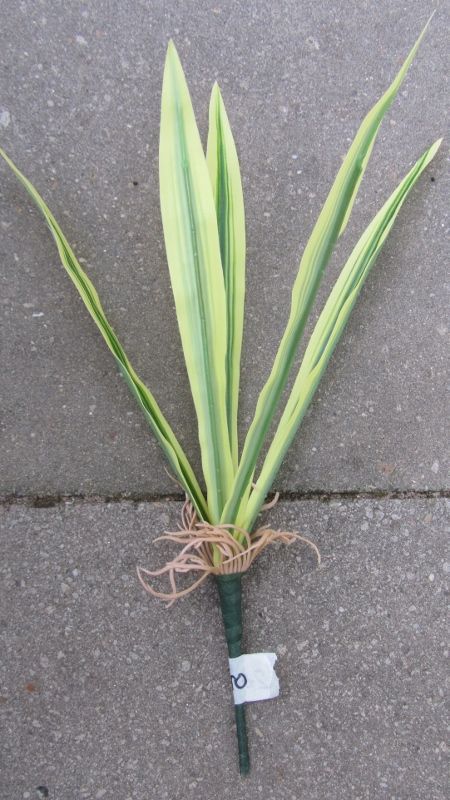 PLANTJE MET WORTELS - KUNST