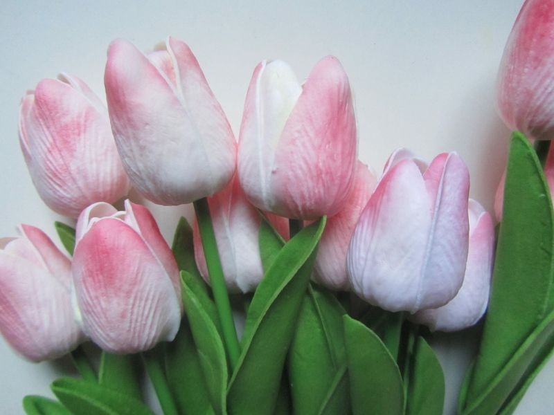 TULPJES -REALTOUCH  WIT - ROZE BOVENKANT