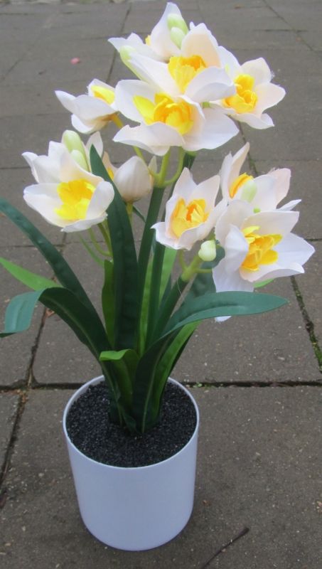 NARCISSEN KUNST IN POTJE - LENTE - VOORJAAR - WIT