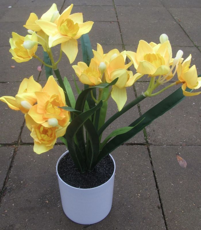 NARCISSEN KUNST IN POTJE - LENTE - VOORJAAR