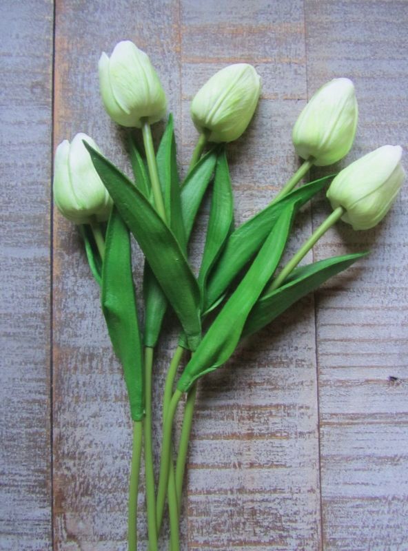 TULPJES - REAL TOUCH - LIME