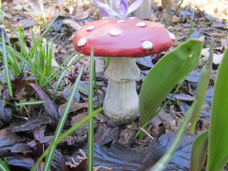 PADDENSTOELTJES OP STEKERTJE - ROOD MET WITTE STIPPEN (2)