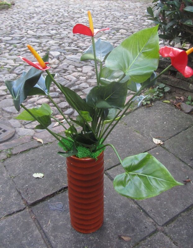 OPRUIMING - ANTHURIUM - KUNST - VAN 24,50 NU 19,50
