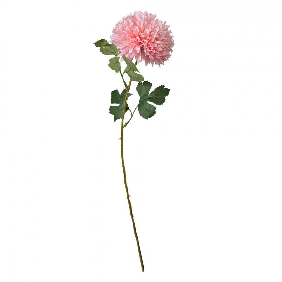 DAHLIA - KUNST - CLAYRE & EEF - ROZE