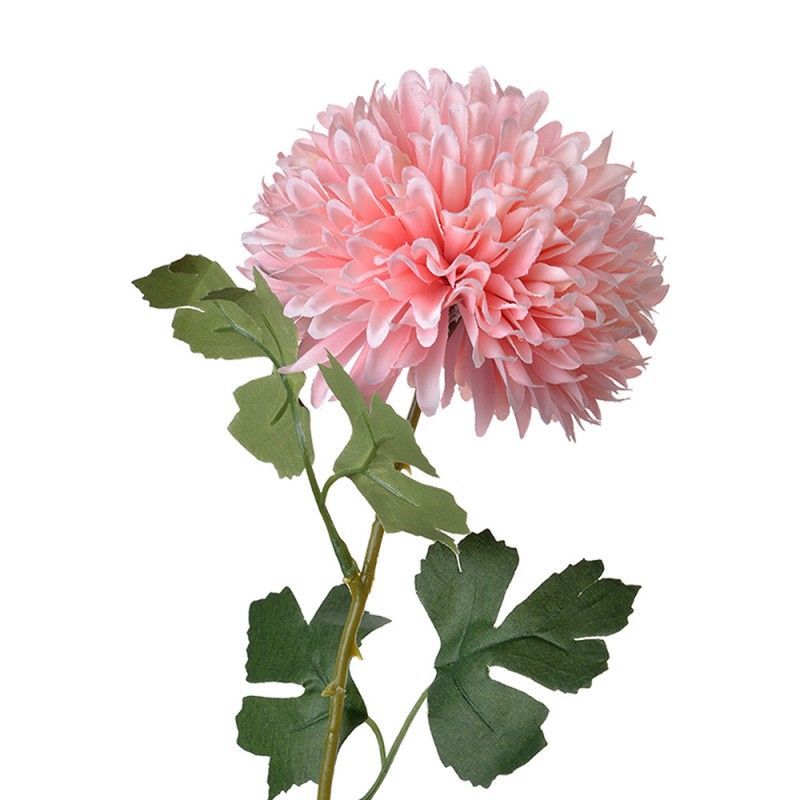 DAHLIA - KUNST - CLAYRE & EEF - ROZE