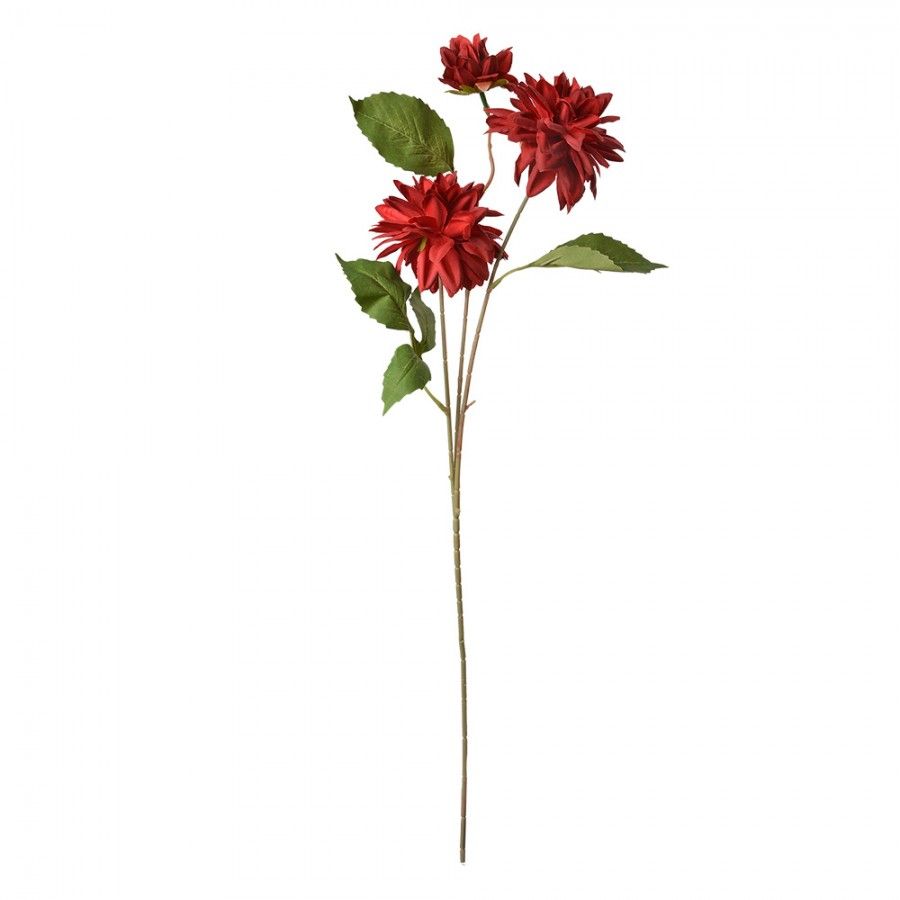 CLAYRE & EEF DAHLIA  KUNST  - ROOD