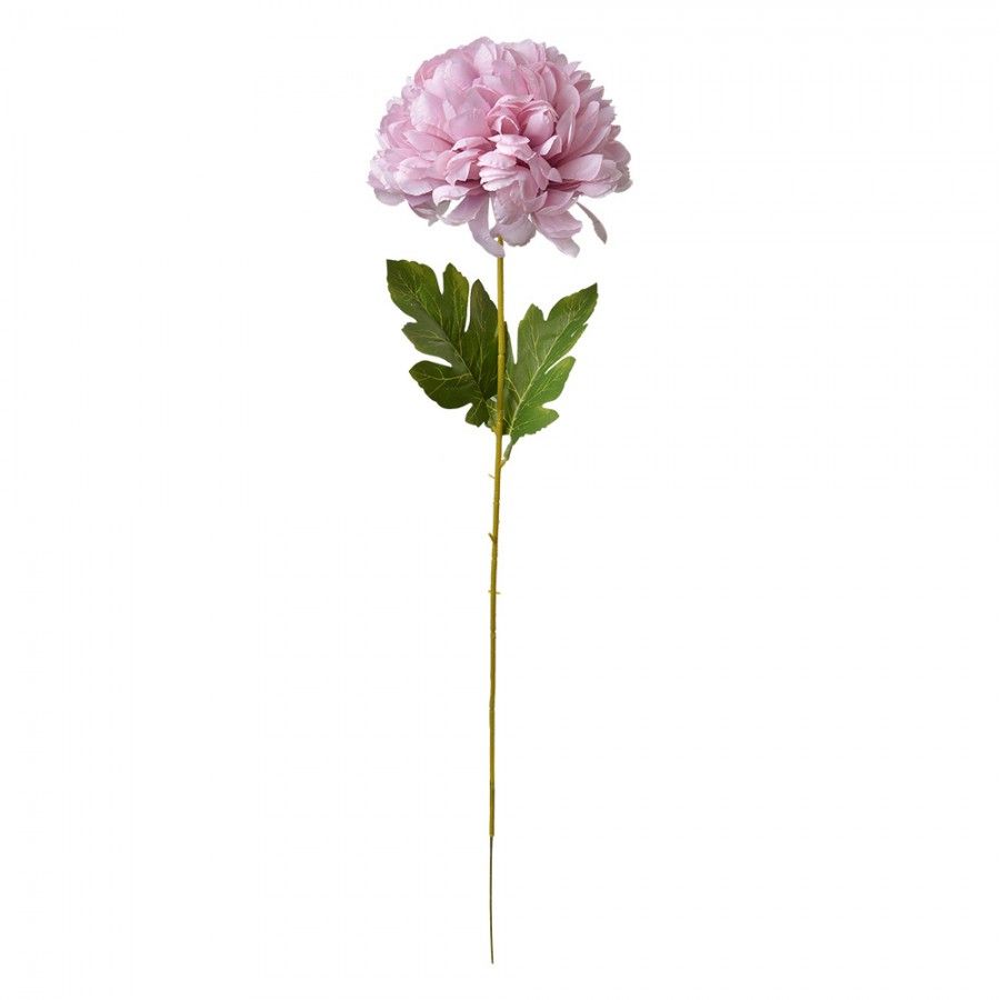 CLAYRE & EEF BOLCHRYSANT - KUNST  LILAROZE