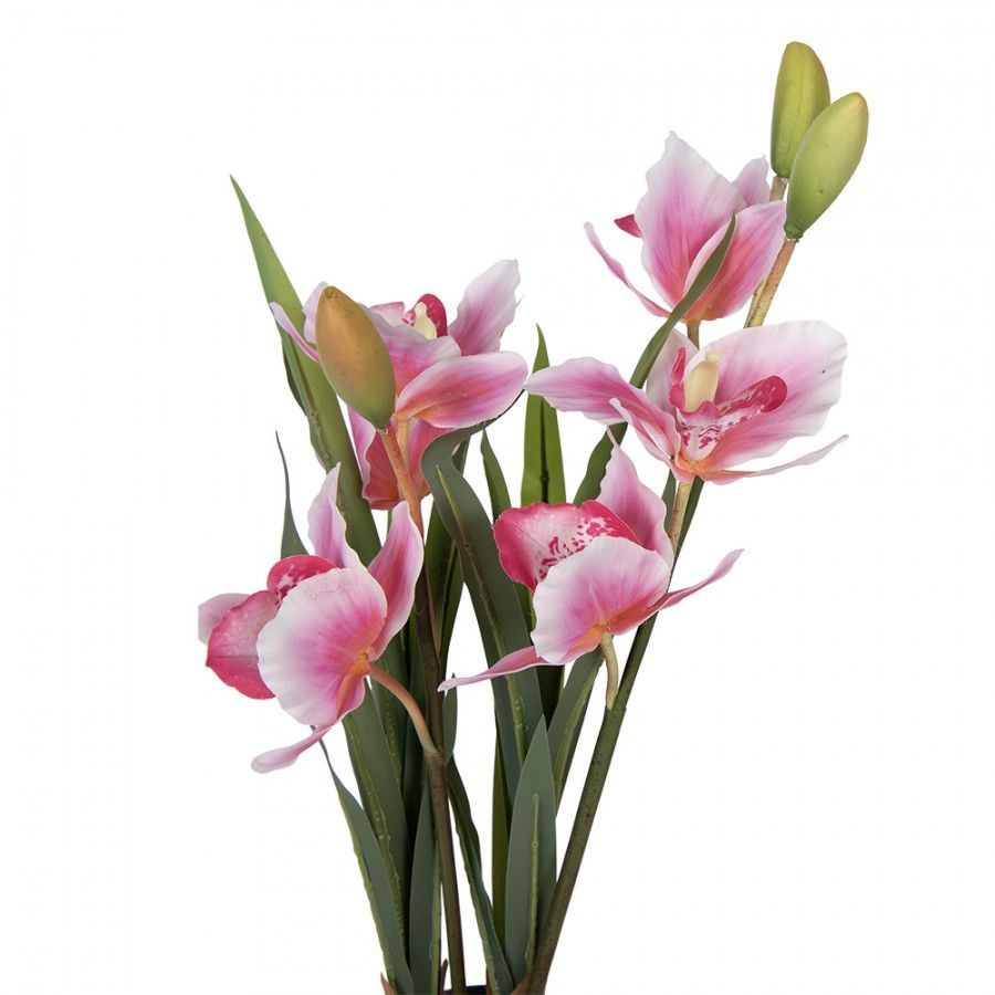 CLAYRE & EEF - KUNST ORCHIDEE (CATTLEYA HYBRIDA)