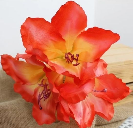 AMARYLLIS - KUNST TAK - ORANJE ROODACHTIG