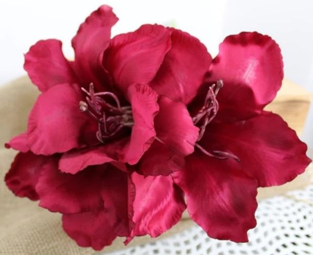 AMARYLLIS - KUNST TAK - DONKER ROOD