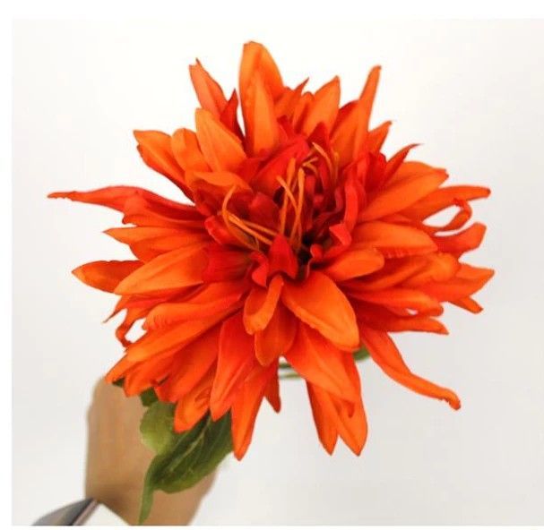 CHRYSANT - ORANJE