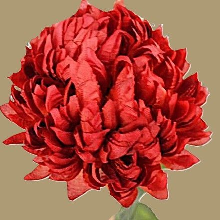 CHRYSANT - KUNST - ROOD
