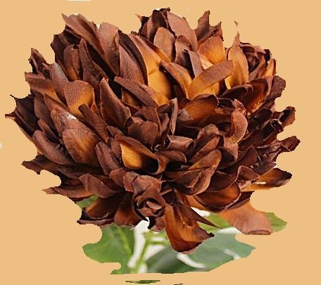 CHRYSANT - KUNST
