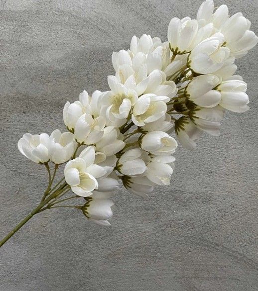 BLOEMEN TAK KUNST - YUCCA PLANT