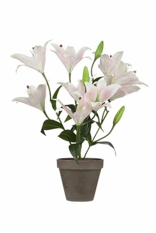 MICA TIJGER LELIE - REAL TOUCH - PLANT - KOOPJE