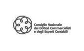 A black and white logo for a company called consiglio nazionale dei dottori commercialisti e degli esperti contabili.