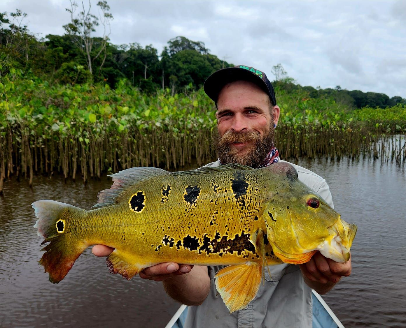 Jungle specialist with trophy peacock bass on Amazon River expedition