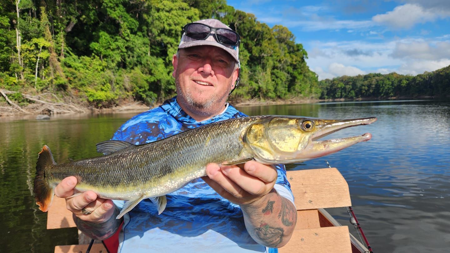 Bicuda fish species landed on Amazon River fishing adventure