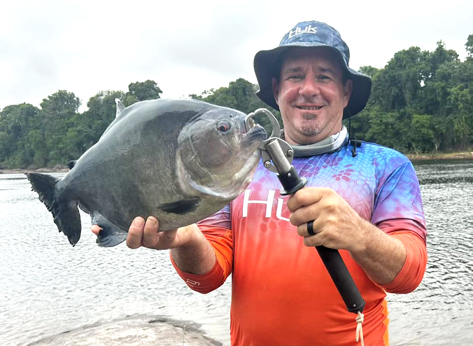 Bicuda fish species landed on Amazon River fishing adventure