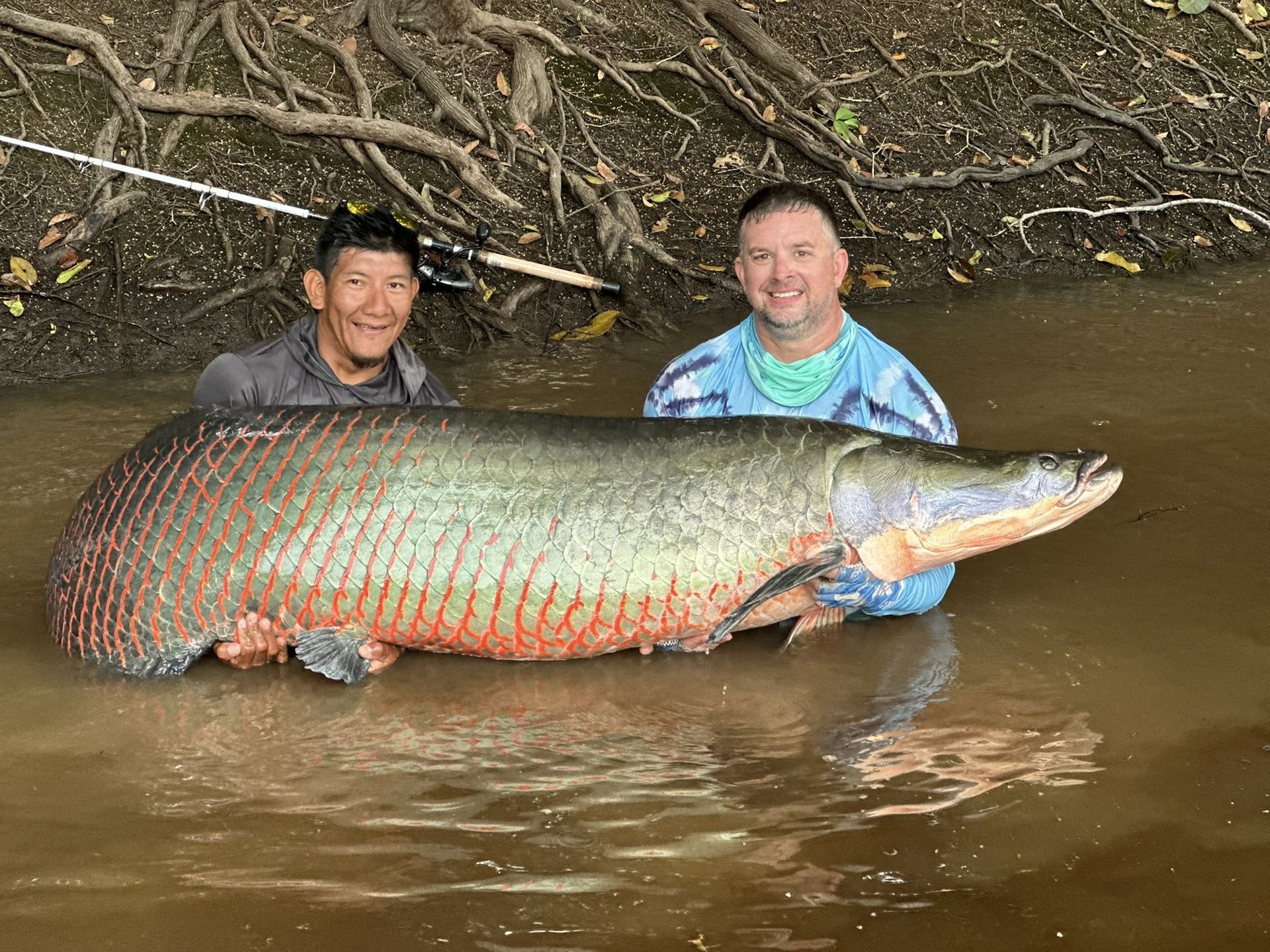 Anglers posing with giant arapaima caught on Amazon River fishing trip