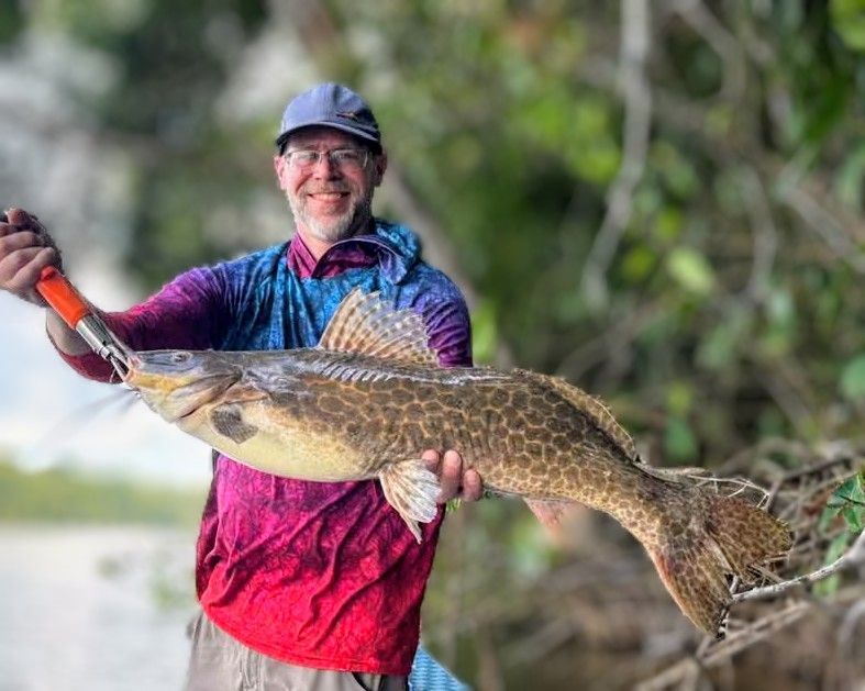 Tiger catfish species featured on Amazon River fishing trip