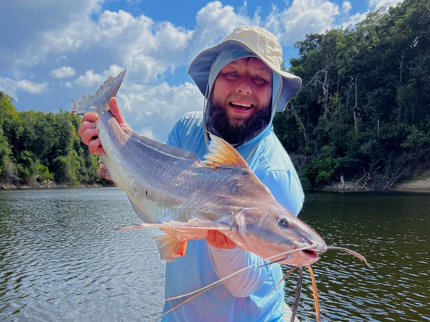 Whisker catfish species caught on Amazon River expedition