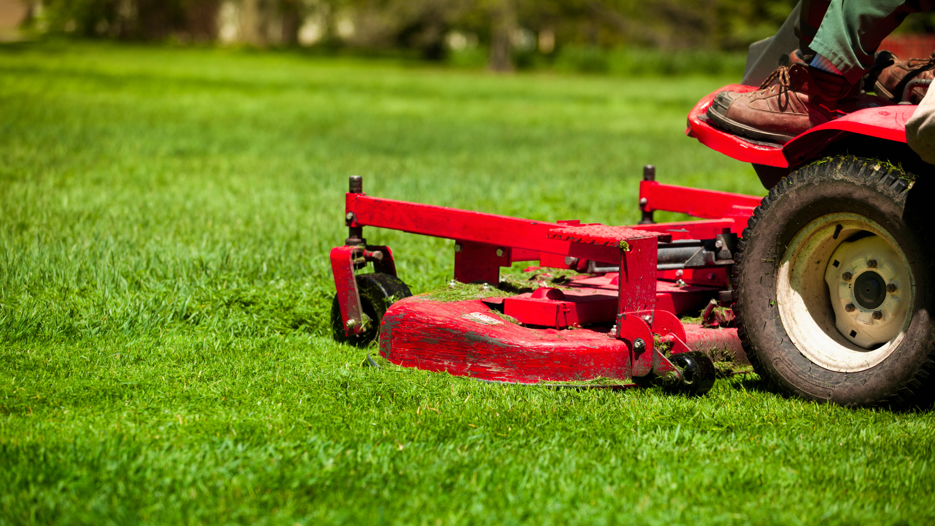Wheelbarrow filled with garden waste on green grass, hedge in the background.