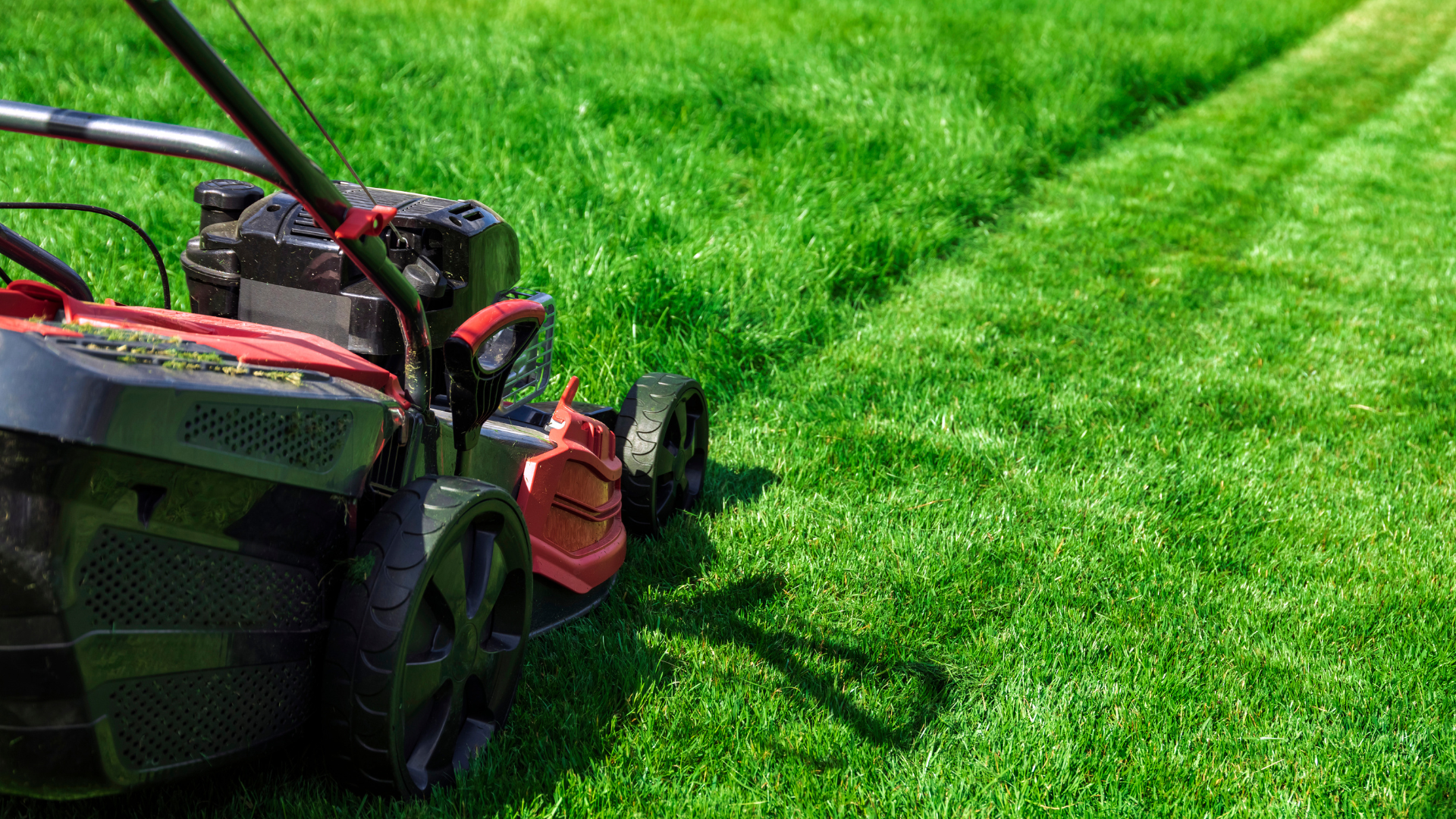 Green lawn bordered by a beige concrete edge, leading to a rock garden with bushes and gravel.