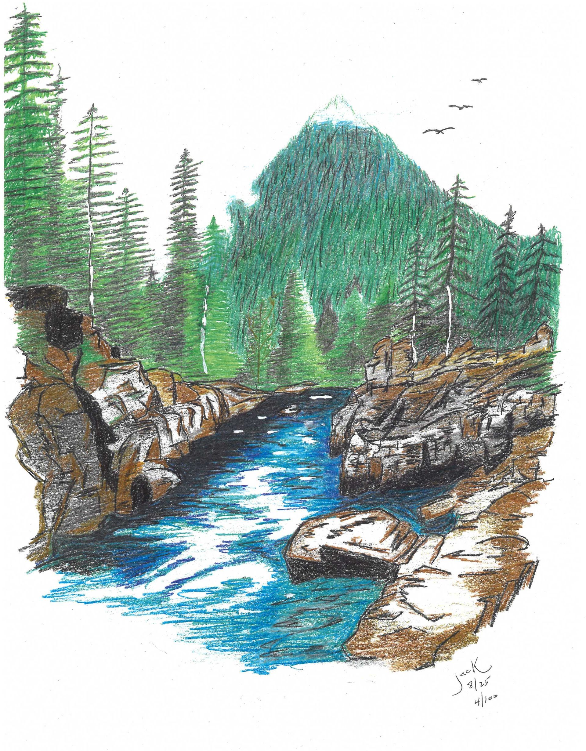 A colored drawing of a rushing blue river winding between rocky banks and a dense green pine forest under a mountain.
