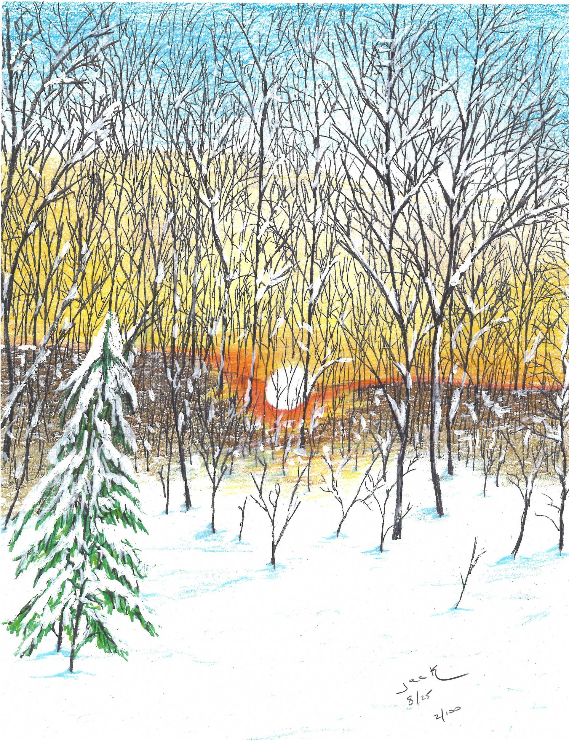A snowy forest at sunset, featuring a lone evergreen tree in the foreground and golden light filtering through bare trees.