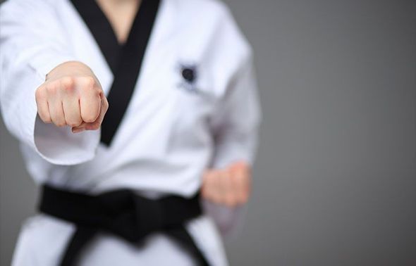 MOO DUK KWAN EL LAGO