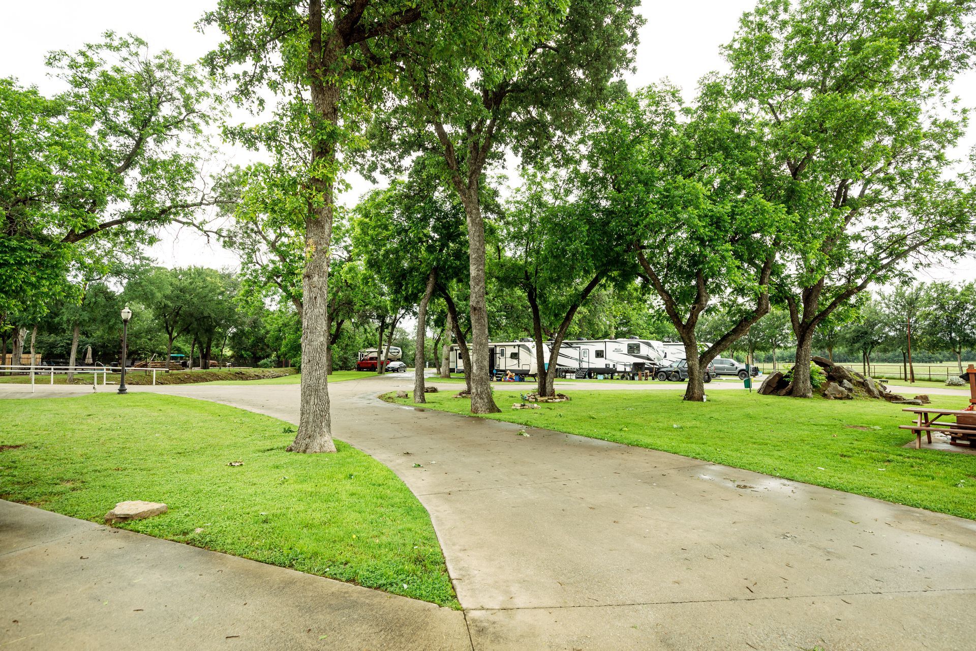 A path in a park with trees and a picnic table