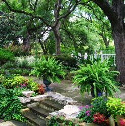 A garden filled with lots of plants and trees.