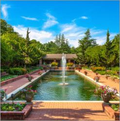 A large pond with a fountain in the middle of it in a park.