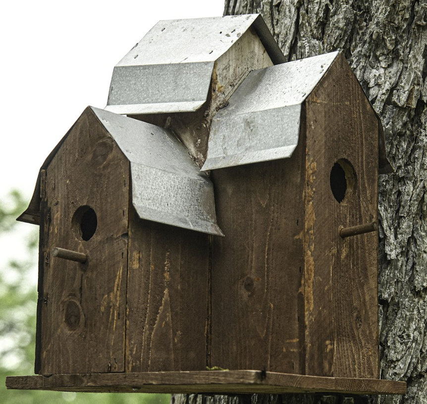 Two rustic wooden birdhouses mounted on a tree trunk, with weathered metal roofs.