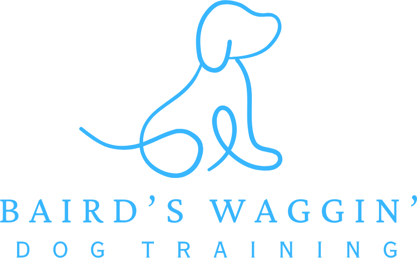 Bairds Waggin Dog Training