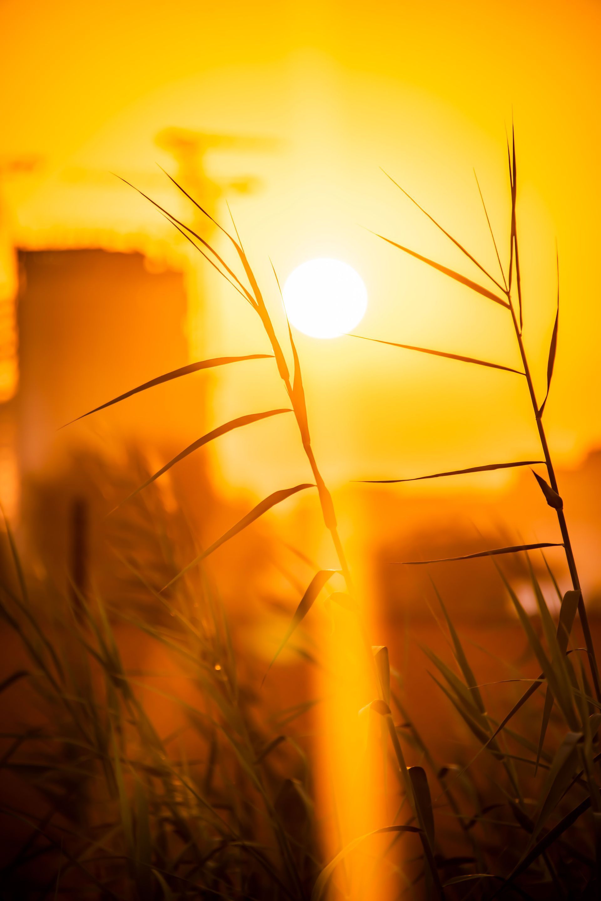 Sonnenuntergang 