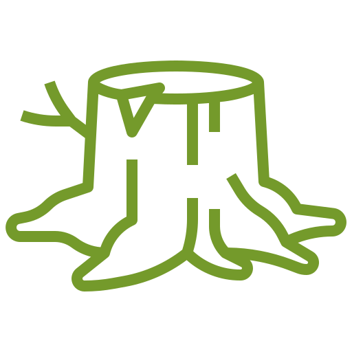 A green line drawing of a tree stump with roots.