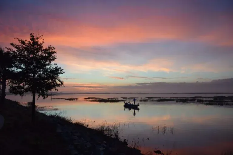 Sunset over calm lake with silhouetted tree and a small boat near shore