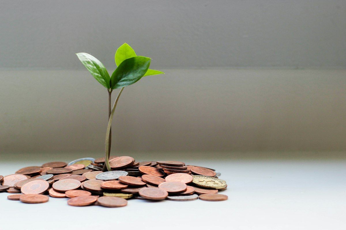 Young green sprout growing from a pile of coins on a white surface, symbolizing growth and investment