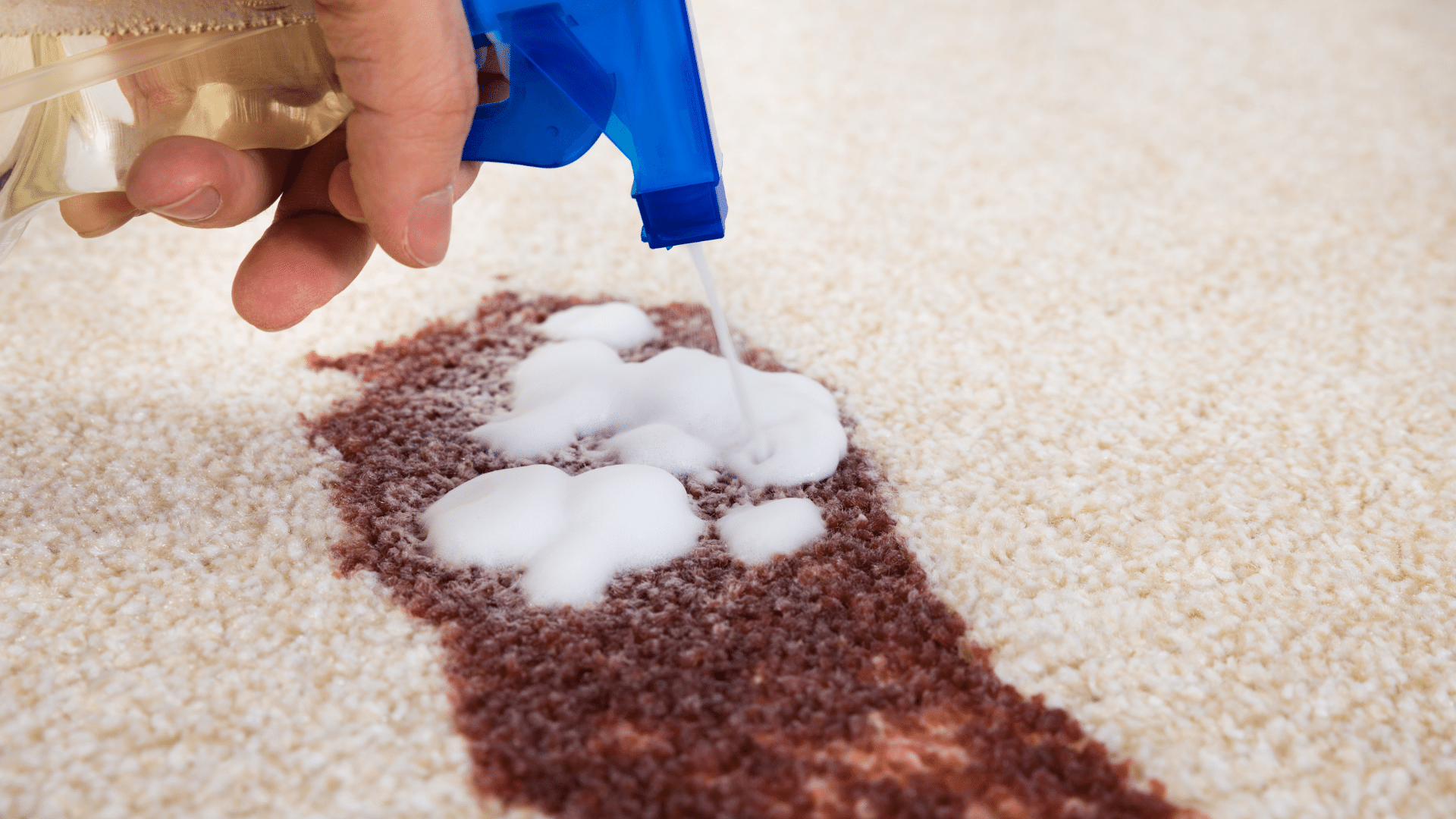 Rug cleaning