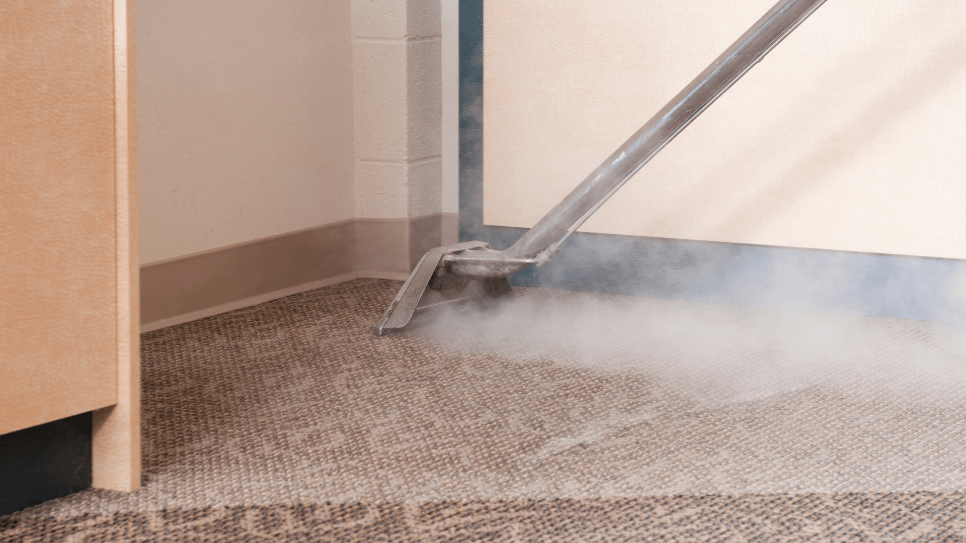 Carpet Cleaning